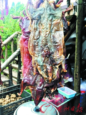 腊味珍品山鼠干