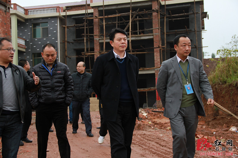 石鼓区委书记杨龙金调研农村房屋穿衣戴帽工作