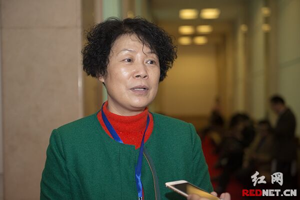 衡阳市党代表,衡东县城关镇党委书记罗敏.