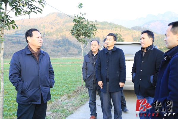 州委书记叶红专来龙山调研