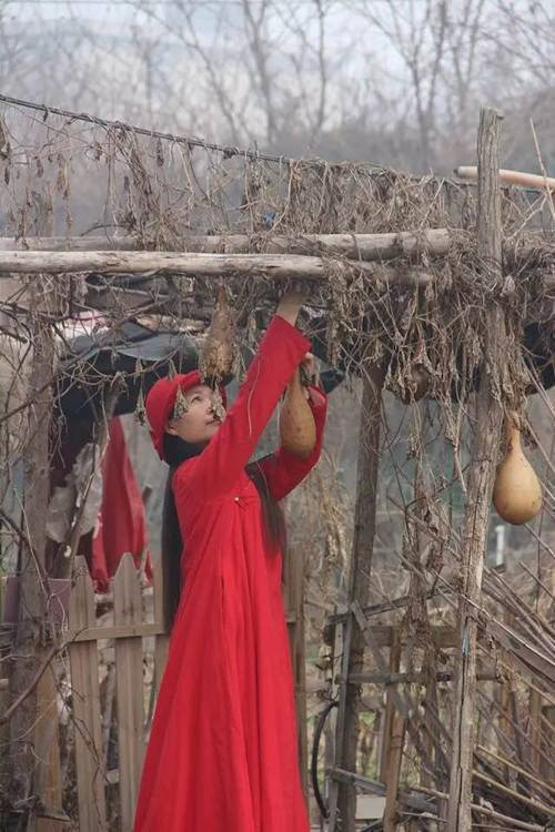 长发长裙田间抚琴女刘娟:照片是摆拍,我做我自己