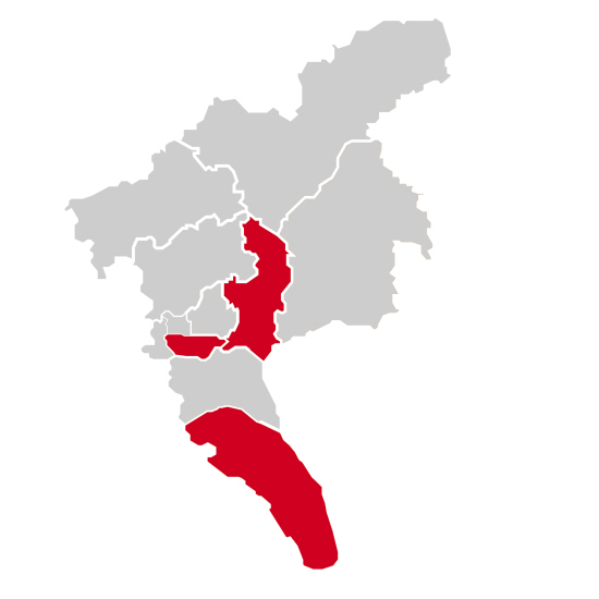 广州航运鼓帆大发力