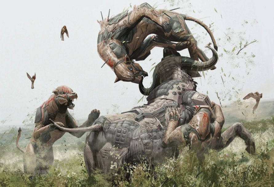 昆虫大作战英媒揭秘蚂蚁大军如何跨越天堑