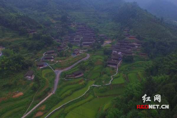 最美少数民族特色村镇龙鼻村古老苗寨中的龙灵气