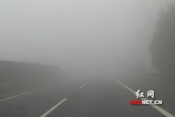 今晨岳阳市境内高速公路因雾天全线关闭