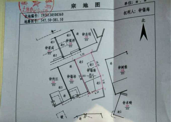 东莞惊现楼贴贴 城管称小巷内建筑属违建