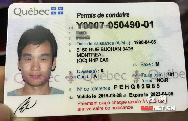国外有照国内无证湖南一留学生回乡驾车被查