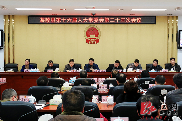 杨定桃任茶陵县副县长