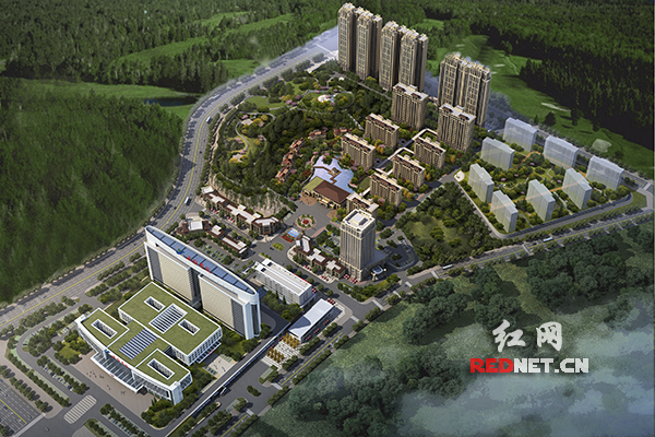 北京同悦益康：引领医疗行业新风向