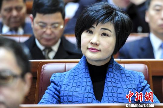 吴小莉建议鼓励粤退休优秀教师支教内地山区