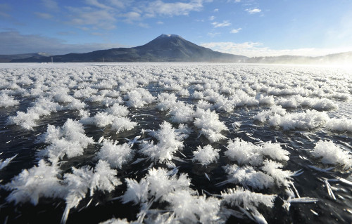 北海道湖面布满霜花冰清玉洁纯美如莲图