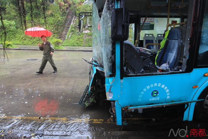 深圳一公交车失控撞上路边大树 11乘客受伤