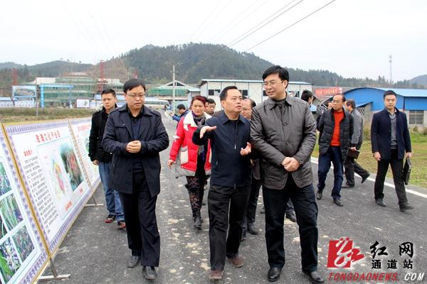 邹文辉调研指导通道精准扶贫工作