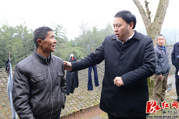 李卫林调研麻阳柑桔销售情况