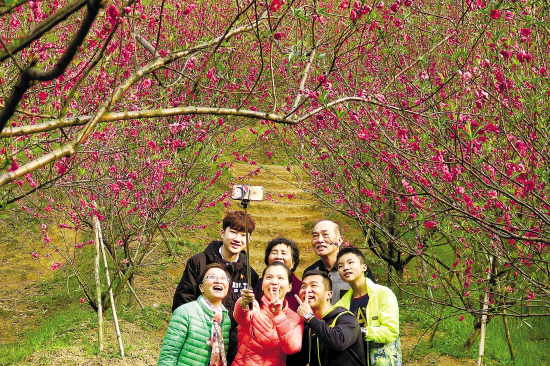 桃花朵朵开