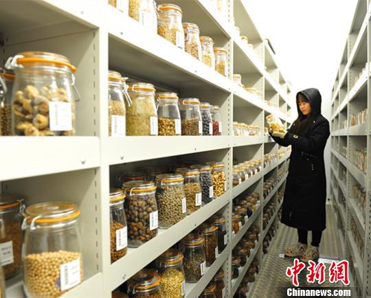 五大洲33国植物种子备存中国西南种质资源库_新浪新闻