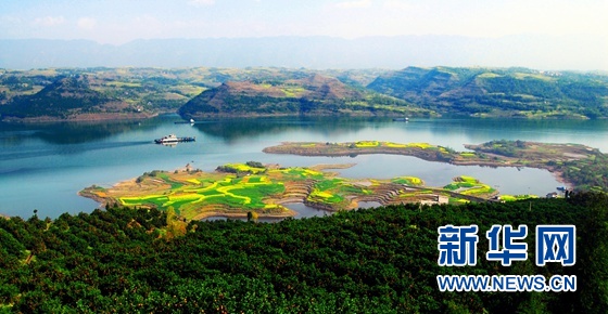 重庆忠县脱贫致富经水土保持打造完整柑橘产业链