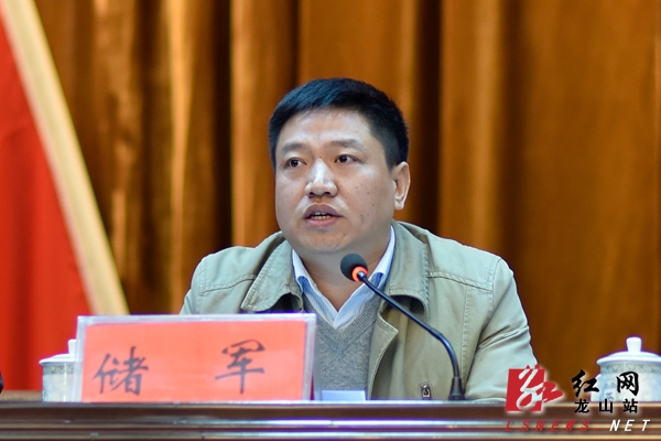 县人民政府副县长储军出