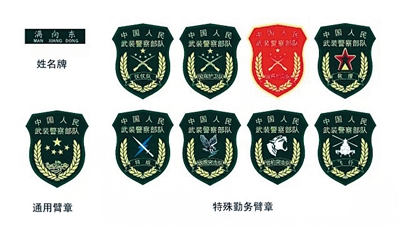 解放军兵种标志图片