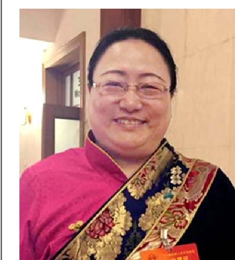 青海省海北藏族自治州州委书记尼玛卓玛代表民族地区的学前教育对少数