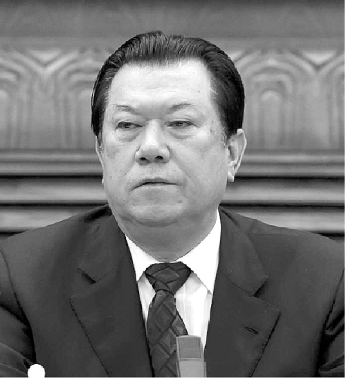 乃依木·亚森:反恐法为打击暴恐活动提供坚实法律保证