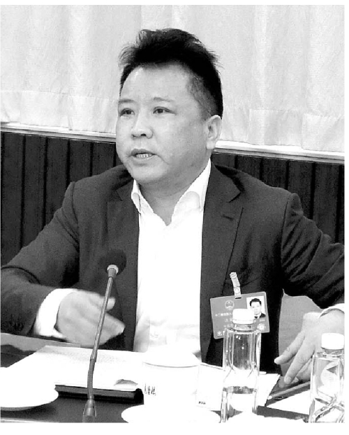 安徽代表团:推进精准扶贫精准脱贫