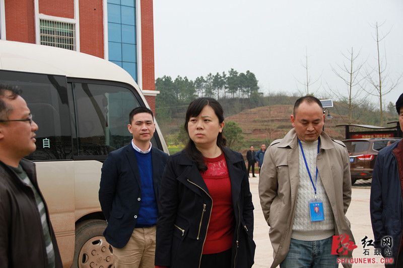 衡阳石鼓区区委副书记,区长黄辉(前排中)调度农村房屋"穿衣戴帽"