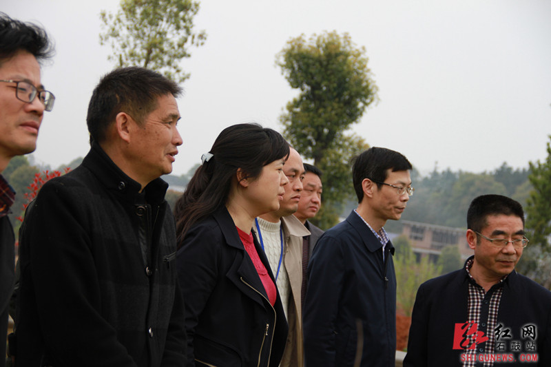 衡阳石鼓区:农村房屋"穿衣戴帽" 打造农业体验园