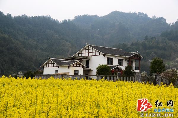 湖南张家界农村房子图片