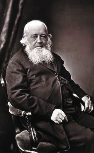 奥杜邦之后最伟大的鸟类学家如何画鸟