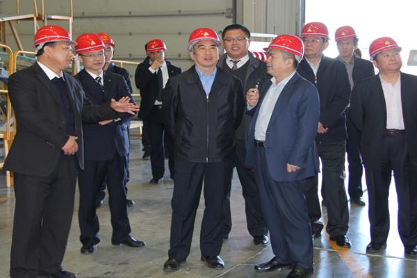 省委常委省委组织部长林武到通榆县进行调研