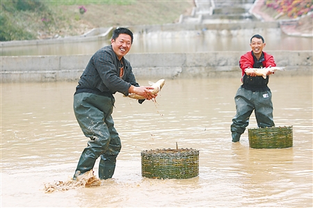 摸鱼捉虾赏郁金香 渝北花仙谷带你回到童年