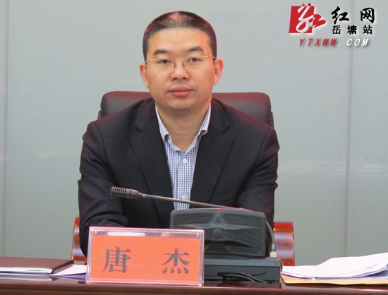 湘潭岳塘区召开2016年全区投资暨重大项目推进工作会