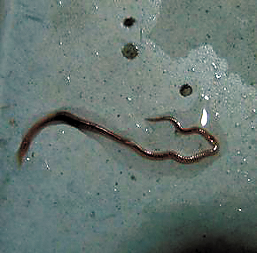 羊城晚报记者 何伟杰广州市水务局近日在官网上公布了2016年部门预算