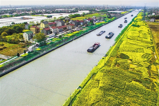 西苕溪上春意浓