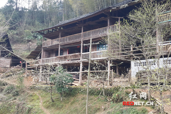 城步县汀坪乡党委书记肖辉凤(左三),副乡长唐启辉