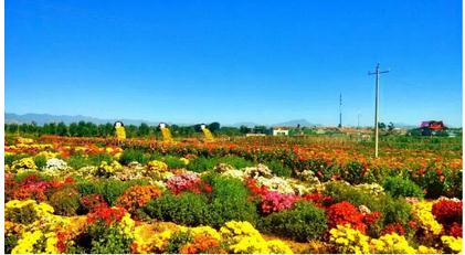 绿富隆昆虫馆延庆区农委携延庆六家知名企业:北京北菜园农业科技发展