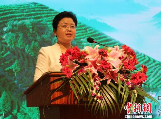 湖南保靖树龄410年"茶树王"认养权拍出60万元高价