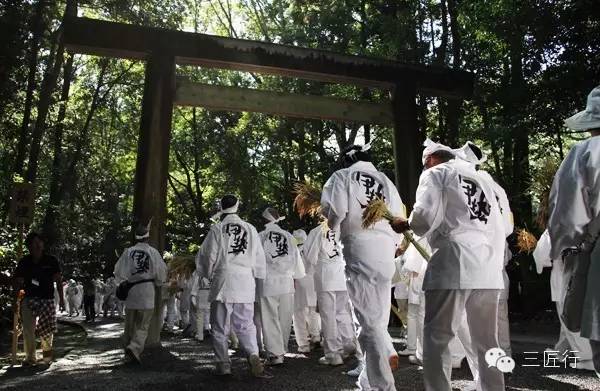 在大米的味道上,中国人为什么输给了日本人?