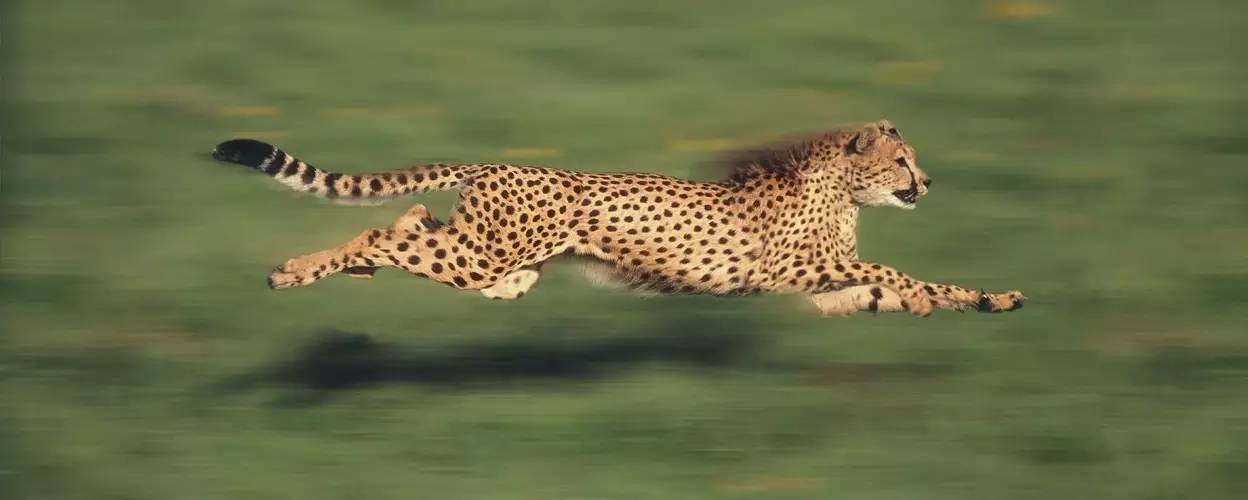 没有中间商赚差价，不如中间商没有赚差价