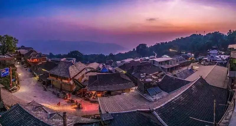 跟着运动大7座行走雨林、探秘茶源