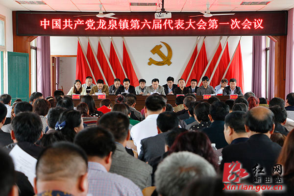 新田县乡镇党委换届工作圆满完成