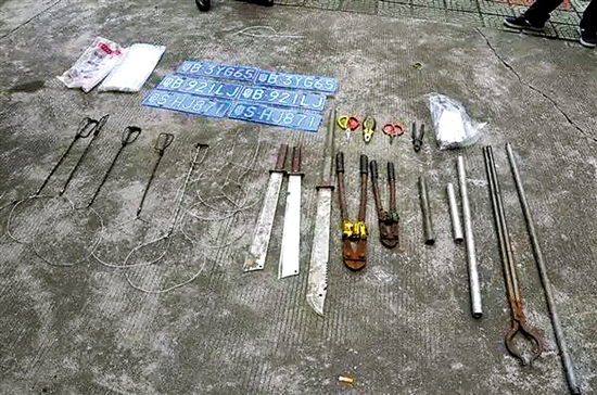 偷狗团伙落网秘密屠狗场被捣