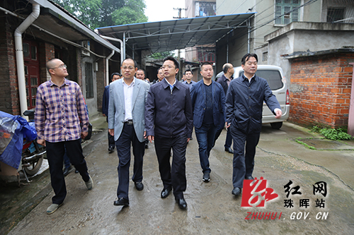 衡阳珠晖区委书记刘诗真视察社区提质改造工作
