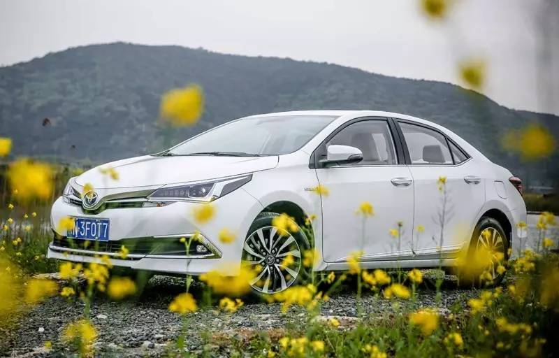 全民混动时代！卡罗拉双擎深度解析