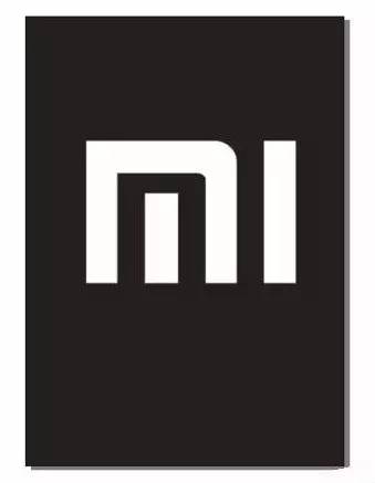 雷军赢了乔丹却输了 山寨官司判决结果雷人