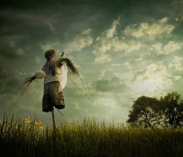 没牌只好去买新能源车 买了还是上不了牌