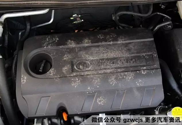 鼠患可能让你的车自燃 如何防范？