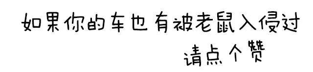 鼠患可能让你的车自燃 如何防范？