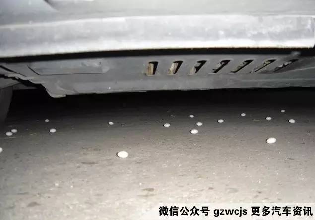 鼠患可能让你的车自燃 如何防范？